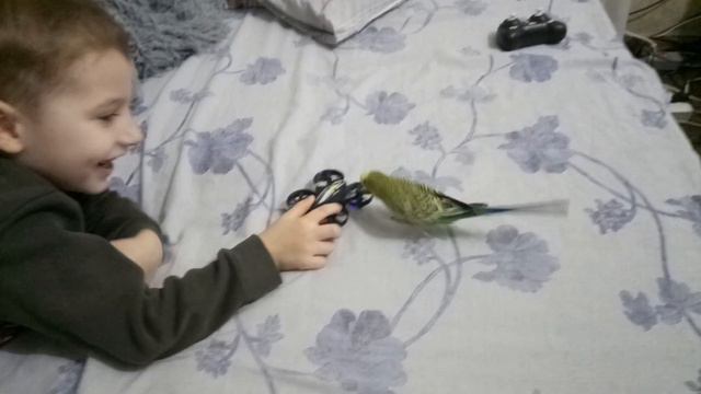 Егор и друг квадрокоптера попугай. смотреть онлайн