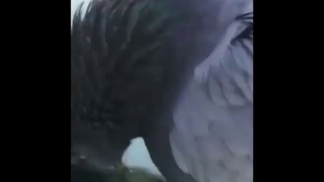 у него тоже 1 января смотреть онлайн