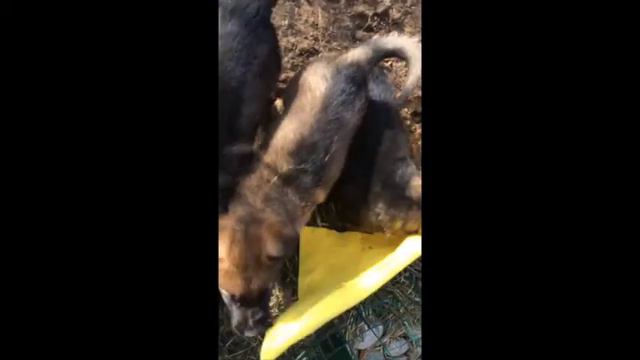 Последний день все вместе смотреть онлайн