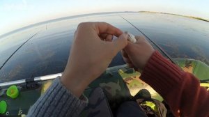 Ловля крупной плотвы и красноперки на Веселовском водохранилище