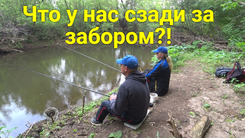 Лес и речка за нашим домом. смотреть онлайн