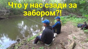 Лес и речка за нашим домом.