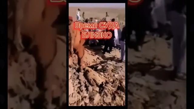 Мусульмане, он уже ЗДЕСЬ! #shortvideo #new #мусульмане #ислам #islam #умма #объединение #люди #выбо смотреть онлайн