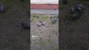 1000023828.mp410.03.2024г.