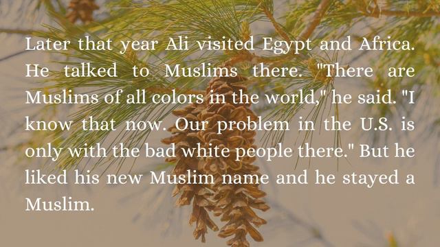 Learn English Reading Stories | Starter Level | English For Beginners | Easy English Stories