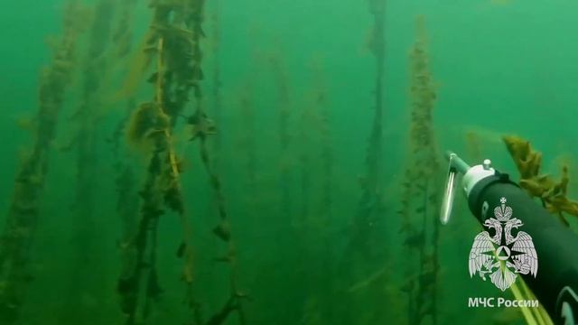 Огнеборец из Бурятии рассказал о своем хобби смотреть онлайн