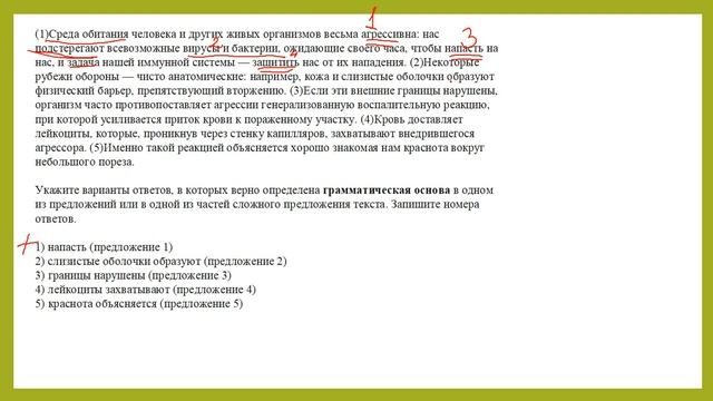 ОГЭ. ЗАДАНИЕ 2. СИНТАКСИЧЕСКИЙ АНАЛИЗ ПРЕДЛОЖЕНИЯ смотреть онлайн