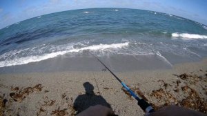 Горбуша на блесна в охотском море. В штормящем охотском море.