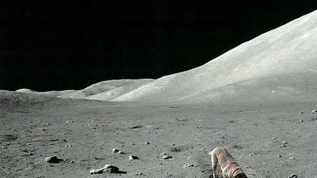 2023.01.23 #onthemoon ! смотреть онлайн