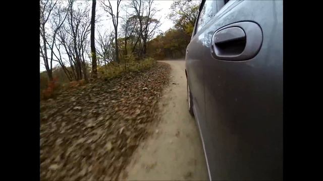 Honda Airwave в лесу. Владивосток. смотреть онлайн