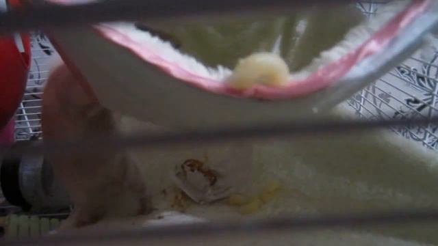 Сизифов труд смотреть онлайн