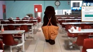 showbiz pizza есть аниматроники в реале или нет