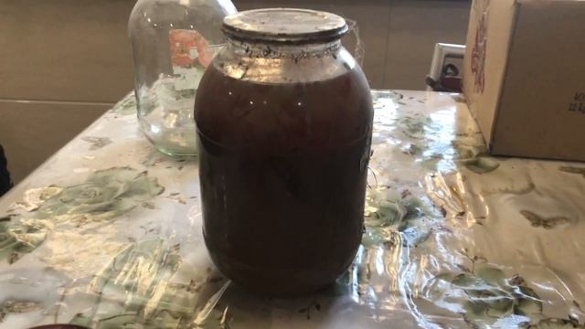 597. Королевская пеларгония,домашняя просрочка и Эмма Бриджвотер? смотреть онлайн