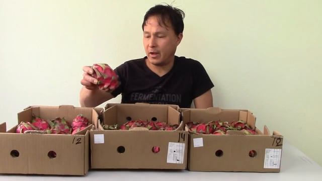 What a Raw Vegan Eats & Plants | Plant + Produce Shopping Haul смотреть онлайн