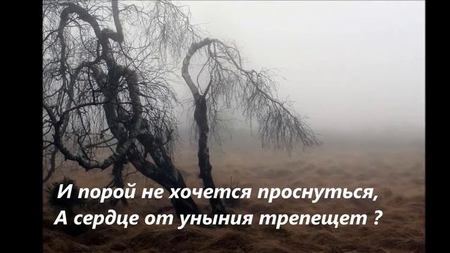 Стойкая береза смотреть онлайн