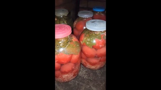 Как хранятся помидоры с хреном и чесноком (по рецепту из прошлого видео), квашеные соленые томаты смотреть онлайн