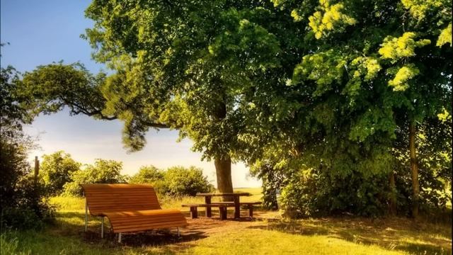 ? Новый рассказ?ТОСКА О СЧАСТЬЕ? ЛЮБОВЬ ПАВЛЮК. Христианские рассказы. Истории из жизни. смотреть онлайн