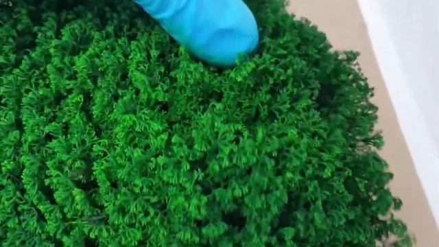 Мох Ягель стабилизированный кочка "Королевский" 50 см смотреть онлайн