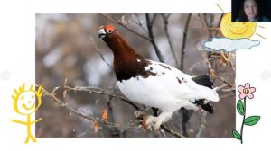 Как животные защищаются.