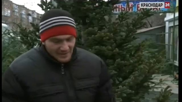 В Краснодаре подорожали импортные новогодние елки смотреть онлайн