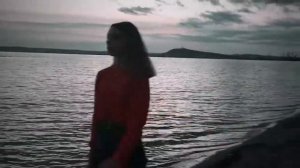 бледно белые розы, тронута..