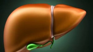 Teri qichishi kasallik belgisi  Тери қичиши касаллик белгиси