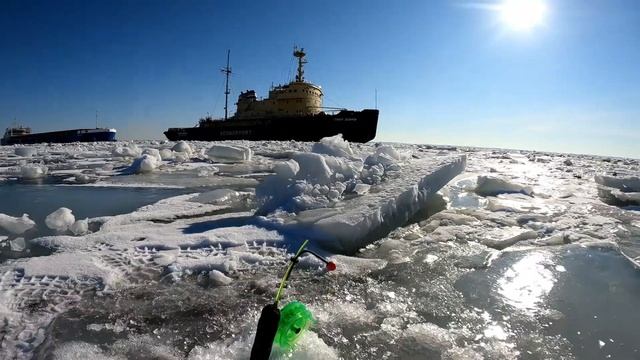 Ловля крупной корюшки в Кронштадте!Шпунты!#fishing #nature #рыбалка #корюшка #финскийзалив#рыба смотреть онлайн