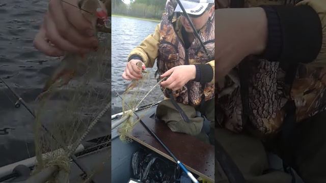 Рыбалка тавда смотреть онлайн