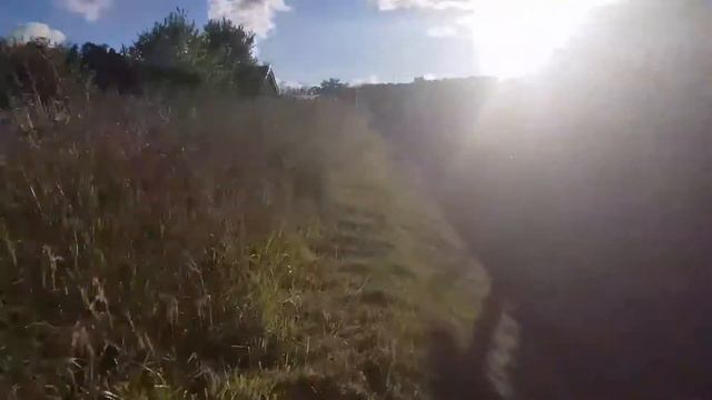 Дачный посёлок "Северная корона" смотреть онлайн