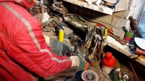 Рога лося на стену