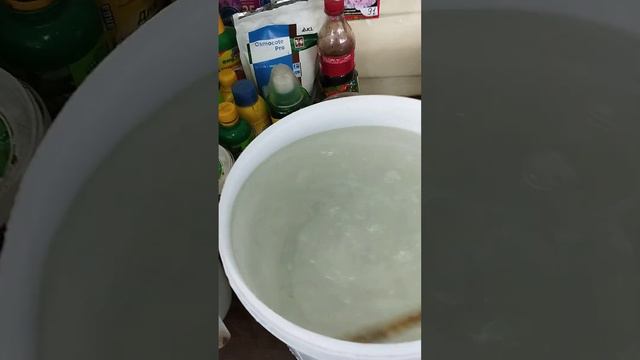 Первая весенняя подкормка комнатных растений. смотреть онлайн