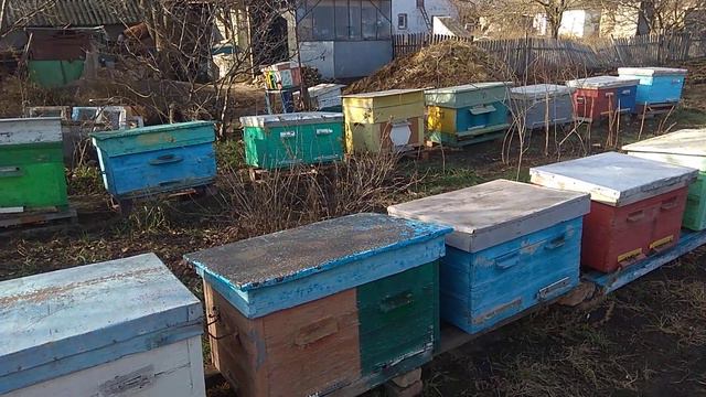 ЦЕНА НА МЕД 2019 УПАЛА!!! смотреть онлайн