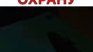 💘😻 Иллюзия обмана 2