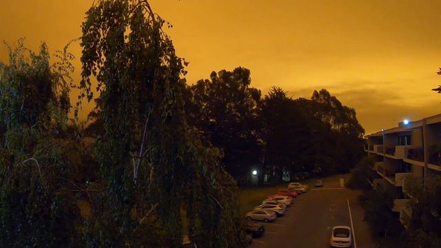 На улице появился запах известного шахматиста смотреть онлайн