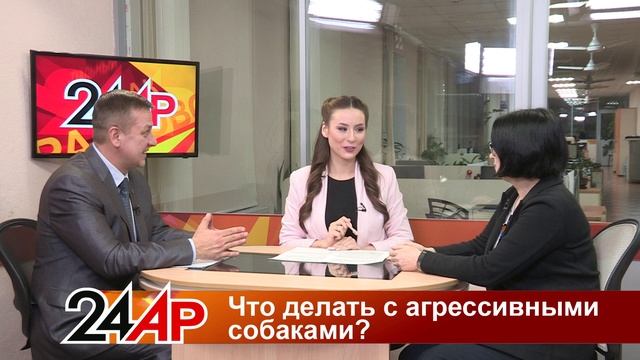Актуальный разговор - Что делать с агрессивными собаками? смотреть онлайн