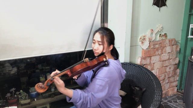 Love Affair -Ennio Morricone violin cover