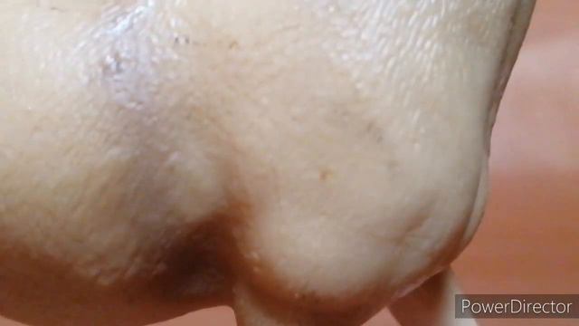 Обзор новой модельки / подделка под Schleich🐎 смотреть онлайн