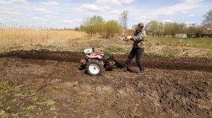 Посадка картошки мотоблоком под плуг.дедовский метод.