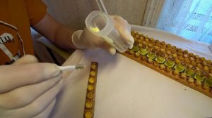 КАК СОБРАТЬ МАТОЧНОЕ МОЛОЧКО, ХРАНЕНИЕ И ПРИМЕНЕНИЕ..mp4