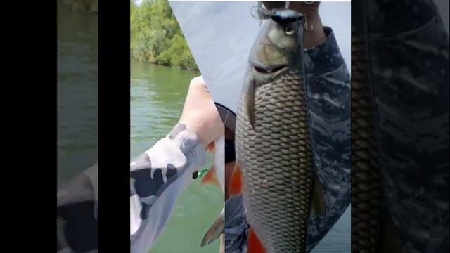 Голавль, жерех, Дон. Воспоминания о лете смотреть онлайн