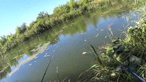 рыбалка на карася на реке чир осень 2020