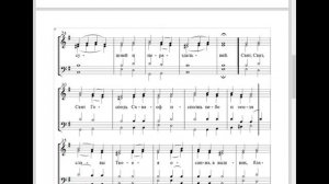 🎼 Милость мира. Скитское (сопрано)