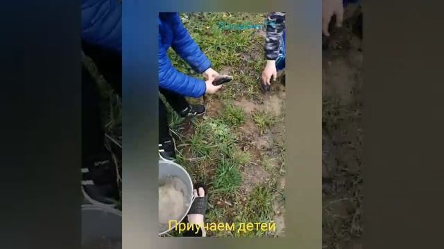 Выпуск толстолобика, линя, окуня, плотвы. ? смотреть онлайн