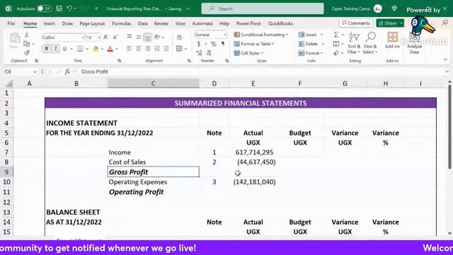 Microsoft Excel Functions & Features for Accountants Financial Reporting смотреть онлайн