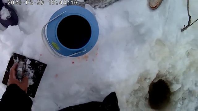 ОБЬ НАЛИМ..... смотреть онлайн