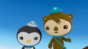 03.15 - Октонавты и красные скальные крабы