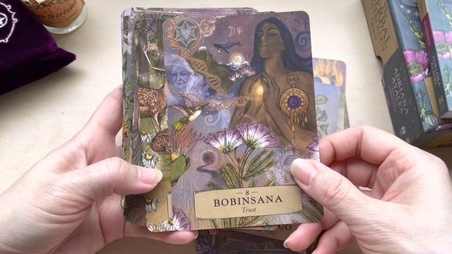 黛西塔羅開箱-香草植物占星神諭卡 Herbal Astrology Oracle Cards unboxing смотреть онлайн