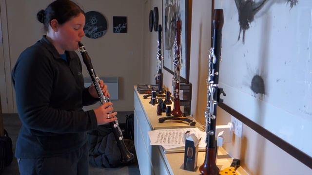 Monique W. test plays a Backun Moba clarinet in Hobart Tasmania смотреть онлайн