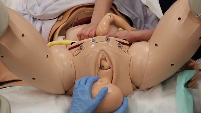 SimMom - Occiput Anterior смотреть онлайн