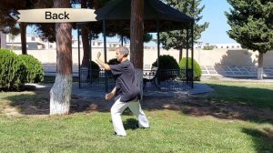 Taichi 24 forms - Form №9 "Dan byan shi"